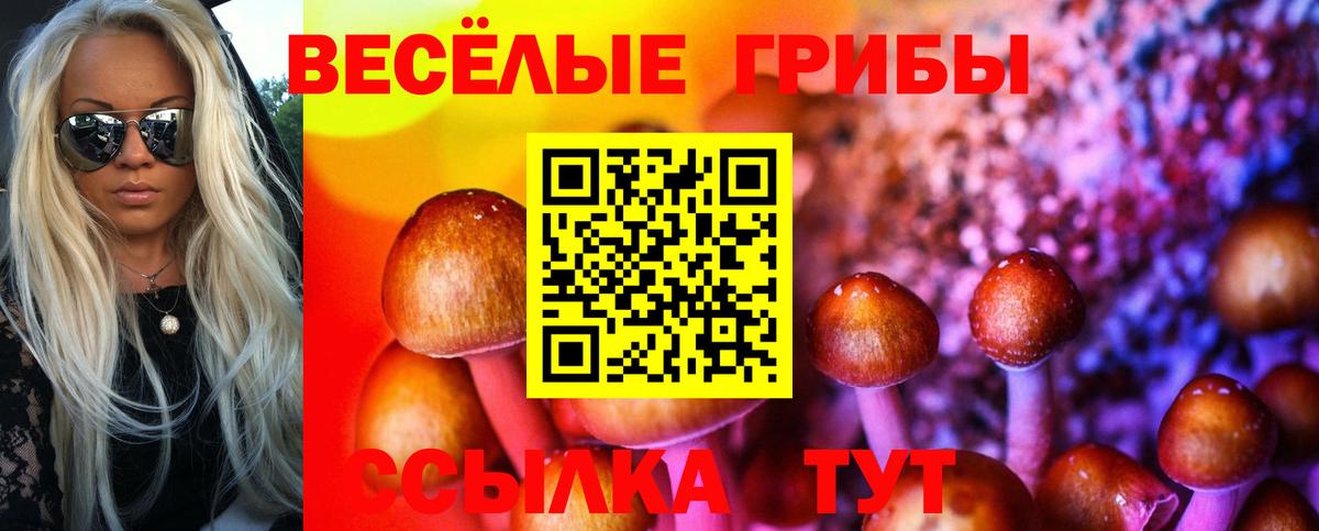 Галлюциногенные грибы мицелий Брянск