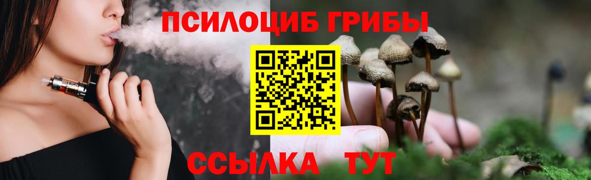 Брянск  Псилоцибиновые грибы прущие грибы  Вход с VPN 
